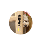 ショコラくん。（個別スタンプ：9）