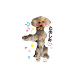 ショコラくん。（個別スタンプ：13）