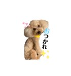 ショコラくん。（個別スタンプ：16）