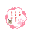 さち日和（個別スタンプ：3）