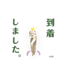 さち日和（個別スタンプ：7）