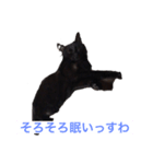 黒猫のハル（個別スタンプ：5）