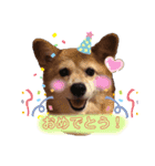 日常ナナちゃん2（個別スタンプ：12）