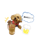 ちわぷー＆ビション兄弟（個別スタンプ：11）