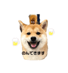 とろろくんスタンプ（個別スタンプ：7）