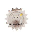 麦丸の日常（個別スタンプ：5）