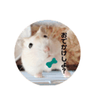 麦丸の日常（個別スタンプ：10）