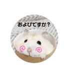 麦丸の日常（個別スタンプ：12）