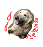 ひで大好き（個別スタンプ：3）