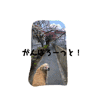 ひで大好き（個別スタンプ：6）