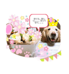 ひで大好き（個別スタンプ：10）