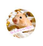 kantyan♡（個別スタンプ：1）
