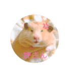 kantyan♡（個別スタンプ：4）