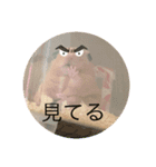 kantyan♡（個別スタンプ：6）