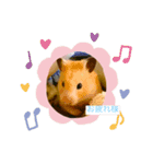 kantyan♡（個別スタンプ：8）