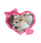 ハムちゃんズ♡（個別スタンプ：3）