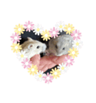ハムちゃんズ♡（個別スタンプ：6）
