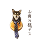 黒豆柴犬ジーマのLINEスタンプ（個別スタンプ：2）