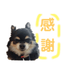 マロンとライト(日常)（個別スタンプ：2）