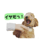マロンとライト(日常)（個別スタンプ：3）