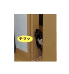 マロンとライト(日常)（個別スタンプ：4）