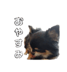 マロンとライト(日常)（個別スタンプ：8）