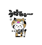 ねこをかぶるねこ（個別スタンプ：1）