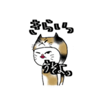 ねこをかぶるねこ（個別スタンプ：13）