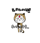 ねこをかぶるねこ（個別スタンプ：17）