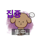 ハンナちゃんの韓国語スタンプ2(字幕付き)（個別スタンプ：34）