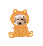まろろんたんの日常（個別スタンプ：3）