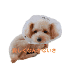 まろろんたんの日常（個別スタンプ：4）