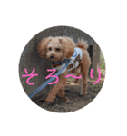 まろろんたんの日常（個別スタンプ：8）