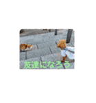 まろろんたんの日常（個別スタンプ：15）