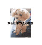 まろろんたんの日常（個別スタンプ：26）
