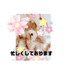 まろろんたんの日常（個別スタンプ：28）
