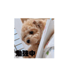 まろろんたんの日常（個別スタンプ：32）