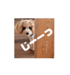 まろろんたんの日常（個別スタンプ：34）