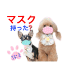 マティラとノアールの日常あれこれスタンプ（個別スタンプ：1）