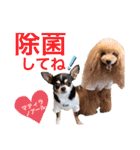 マティラとノアールの日常あれこれスタンプ（個別スタンプ：2）