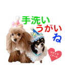 マティラとノアールの日常あれこれスタンプ（個別スタンプ：3）