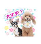 マティラとノアールの日常あれこれスタンプ（個別スタンプ：7）