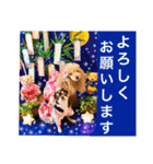 マティラとノアールの日常あれこれスタンプ（個別スタンプ：16）
