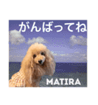 マティラとノアールの日常あれこれスタンプ（個別スタンプ：22）