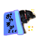 黒い犬の日常スタンプ（個別スタンプ：6）