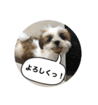 ふくっ！！（個別スタンプ：1）
