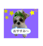 ふくっ！！（個別スタンプ：3）