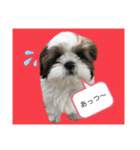 ふくっ！！（個別スタンプ：6）