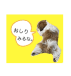 ふくっ！！（個別スタンプ：10）