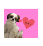 ふくっ！！（個別スタンプ：11）